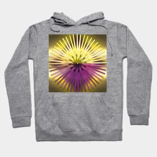 Ferris Wheel Gradient 7 Hoodie